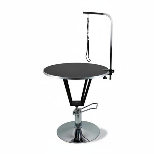 Pet grooming table - grooming, table,