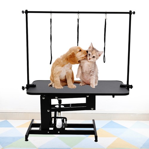 Extra large hydraulic pet dog - large,